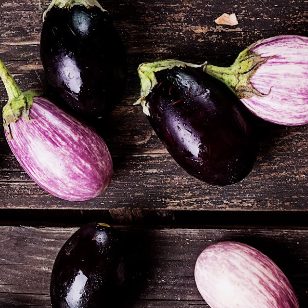 Aubergine